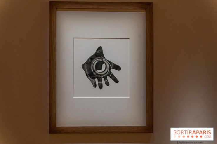 Picasso et la Préhistoire, les photos de l'exposition au Musée de l'Homme