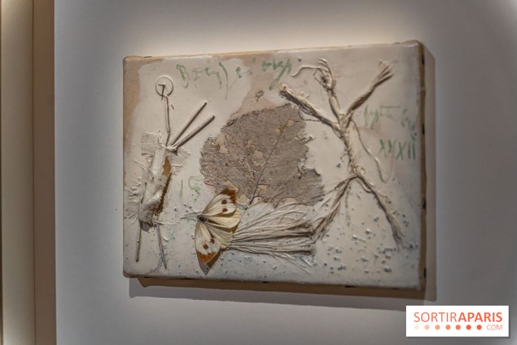 Picasso et la Préhistoire, les photos de l'exposition au Musée de l'Homme