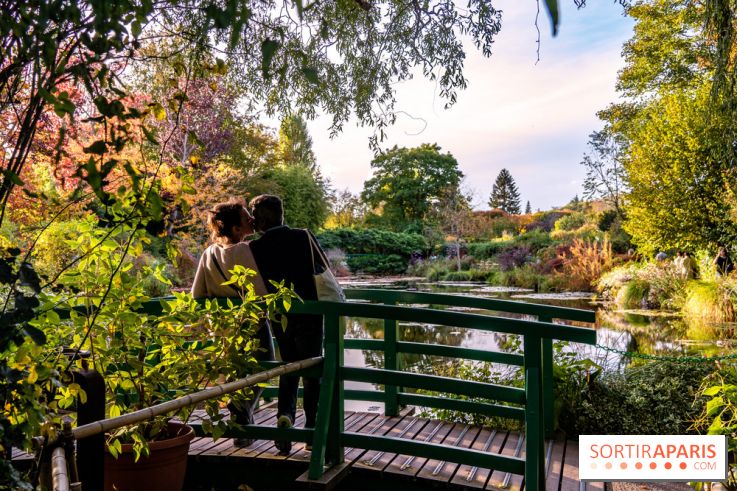 Saint-Valentin visuel saint Valentin - couple