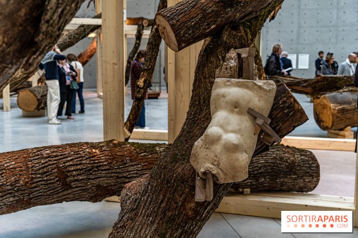 Exposition Avant l'orage à la Bourse de Commerce - Pinault Collection - urgence climatique