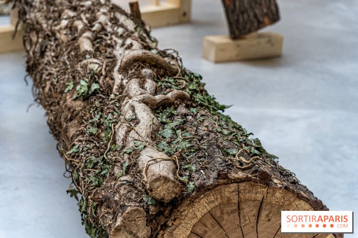 Exposition Avant l'orage à la Bourse de Commerce - Pinault Collection - urgence climatique