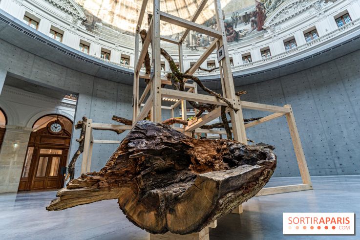Exposition Avant l'orage à la Bourse de Commerce - Pinault Collection - urgence climatique