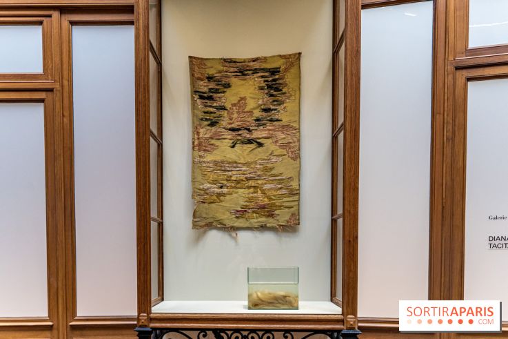 Exposition Avant l'orage à la Bourse de Commerce - Pinault Collection - urgence climatique