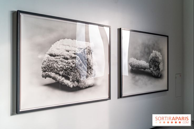 Exposition Avant l'orage à la Bourse de Commerce - Pinault Collection - urgence climatique