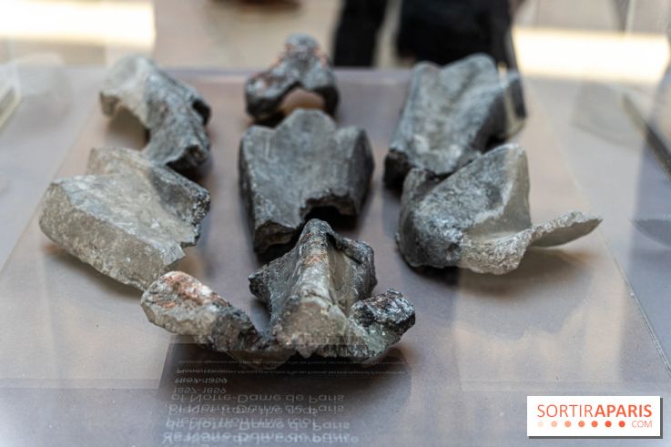 Exposition Notre-Dame de Paris - des bâtisseurs aux restaurateurs - Cité de l'Architecture -  A7C2741