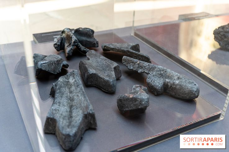 Exposition Notre-Dame de Paris - des bâtisseurs aux restaurateurs - Cité de l'Architecture -  A7C2743