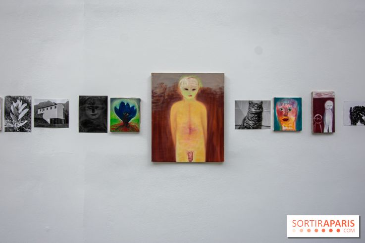 Exposition Ma Pensée Sérielle Miriam Cahn Palais de Tokyo