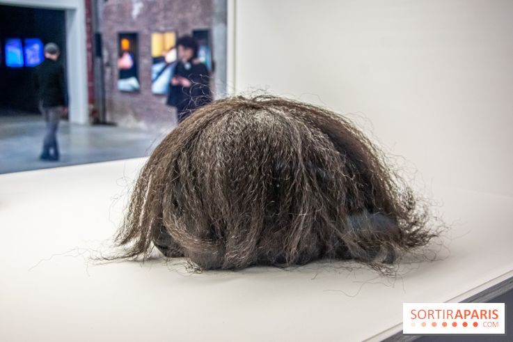 Exposition Exposé.es Palais de Tokyo Sida