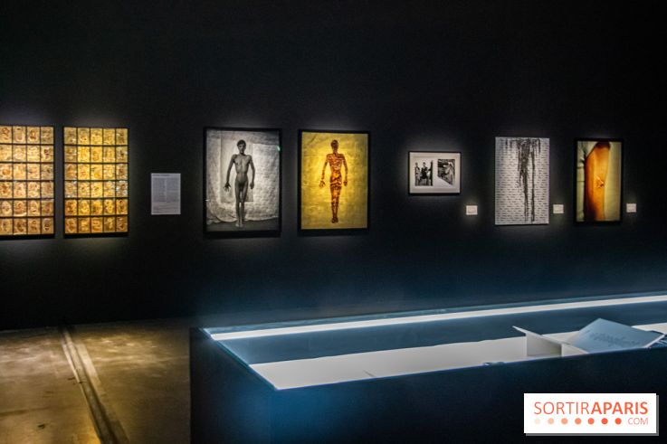 Exposition Exposé.es Palais de Tokyo Sida