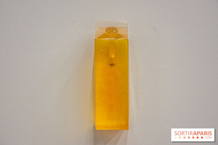 Exposition Exposé.es Palais de Tokyo Sida