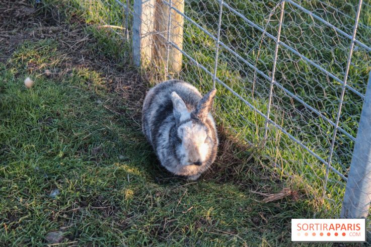 Fermes de Gally - Saint Denis - 7B906E6E 980C 475A 9B78 F3CD0CA64222