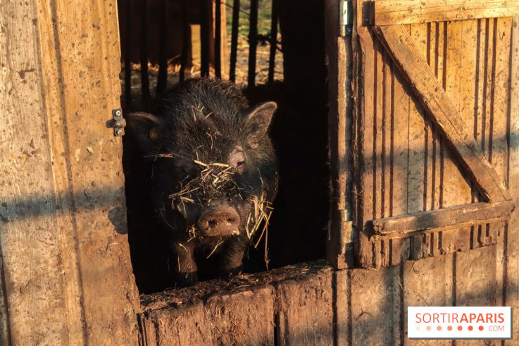 Fermes de Gally - Saint Denis - 582C69D9 6BE3 467E 8262 FB1C0E2DA12B