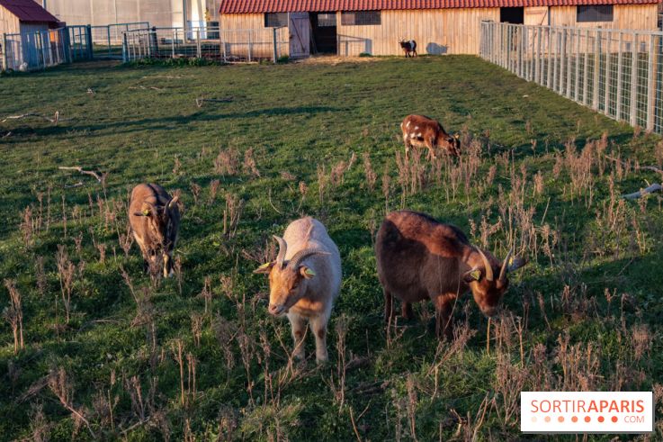 Fermes de Gally - Saint Denis - ED9AAD72 02C7 4C56 B502 2B079F42EDDF