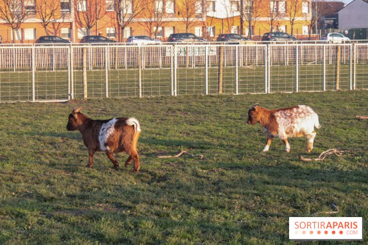Fermes de Gally - Saint Denis - 85C3BDAD BB0B 44C8 8936 D4F8178C2E94