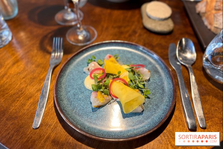 Perception - Sashimi daurade et tarama