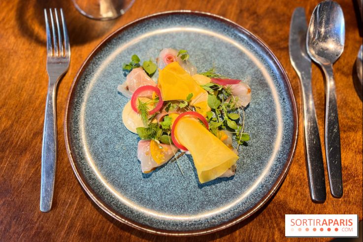 Perception - Sashimi daurade et tarama