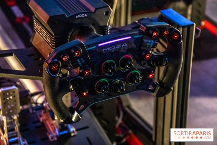 Sim Drivers volant formule 1