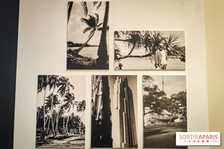 Matisse au musée de l'Orangerie : une exposition focus sur les années 1930 du peintre - nos photos - IMG20230301160729