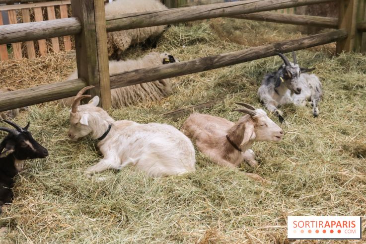 Salon de l'agriculture 2023 - 20230227180126 IMG 4013