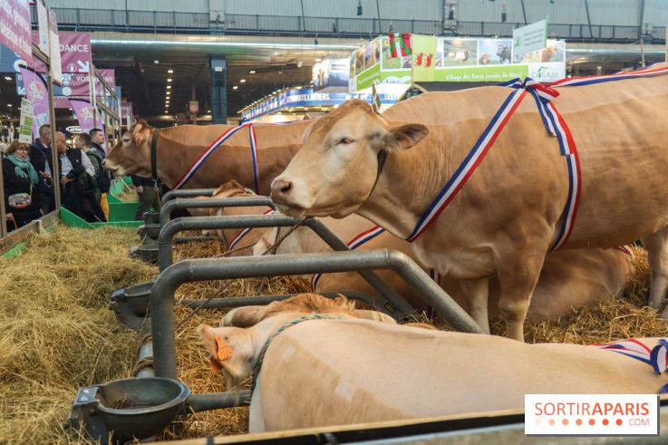 Salon de l'agriculture 2023