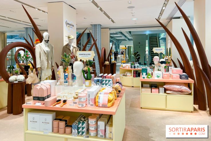 Paris à Poil(s) à la Samaritaine - image00005