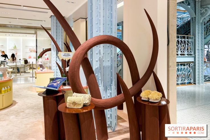 Paris à Poil(s) à la Samaritaine - image00009