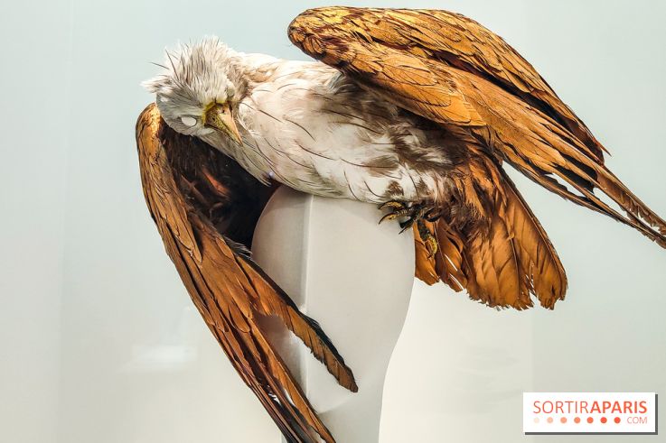 1997 Fashion Big Bang : l'exposition détonante du Palais Galliera