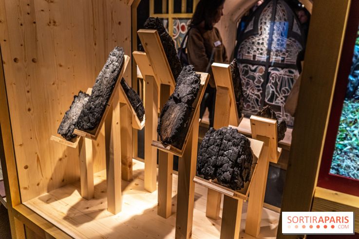 Exposition Notre-Dame de Paris : au cœur du chantier -  A7C4628