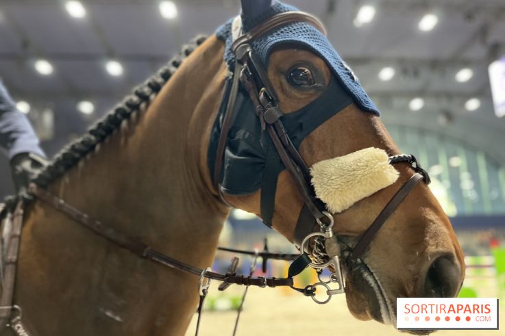 cheval - Saut Hermès