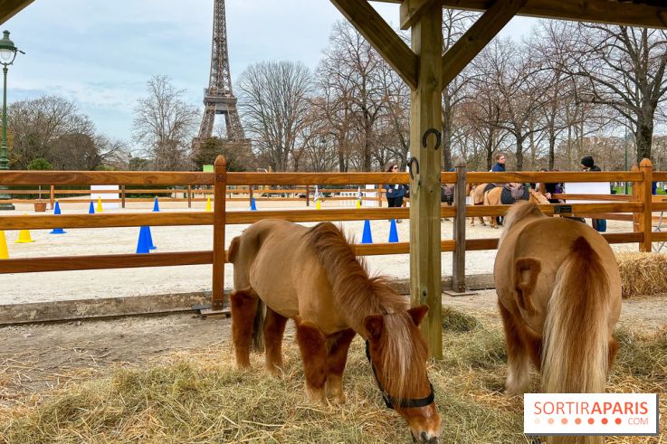 Saut Hermès - image00004