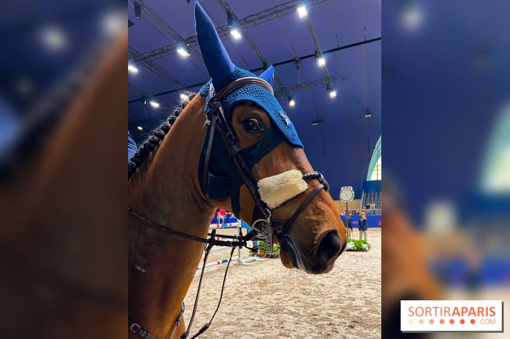 Saut Hermès - image00011