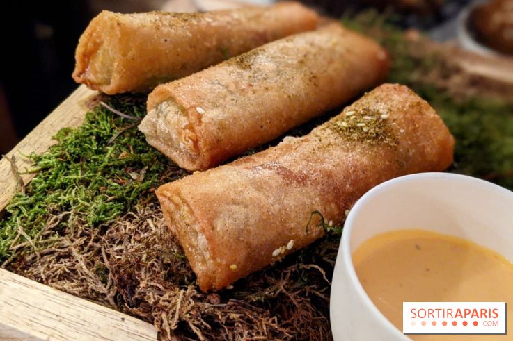 Qasti - Rouleaux halloumi