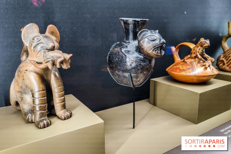 Félins, l'exposition qui nous fait craquer au Muséum national d'Histoire naturelle - photos - IMG20230321104449