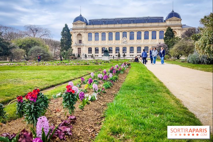 Félins, l'exposition qui nous fait craquer au Muséum national d'Histoire naturelle - photos - IMG20230321111256