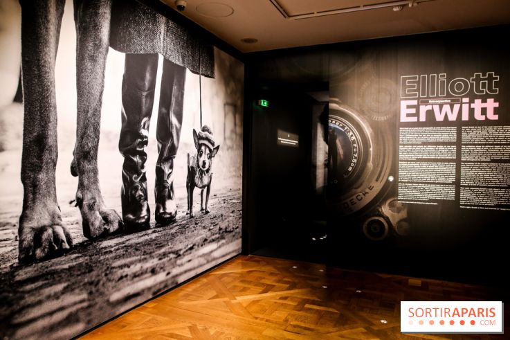 Elliott Erwitt, l'expo au Musée Maillol, nos photos - IMG 8912