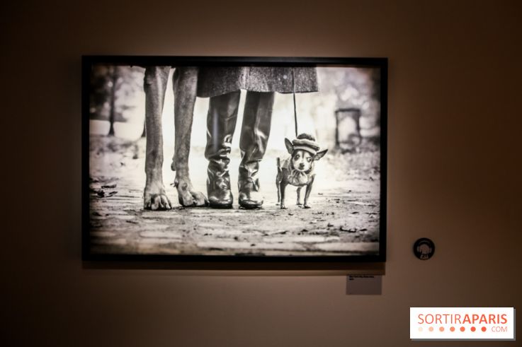 Elliott Erwitt, l'expo au Musée Maillol, nos photos