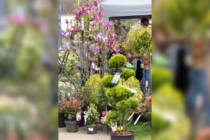 Les journées des plantes & Art  - 0S6A4145