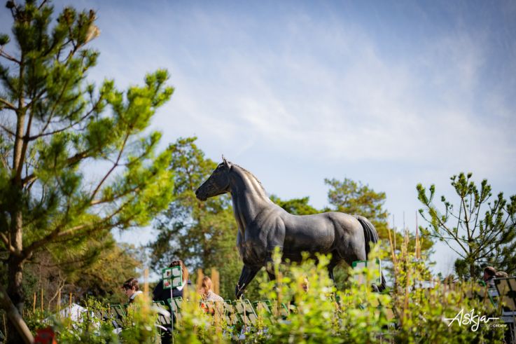Les journées des plantes & Art  - journes des plantes  fontainebleau 2025 i samedi 29 mars 2025 54426902084 o