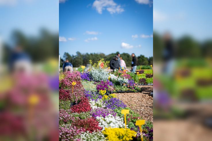 Les journées des plantes & Art  - journes des plantes  fontainebleau 2025 i samedi 29 mars 2025 54426904414 o