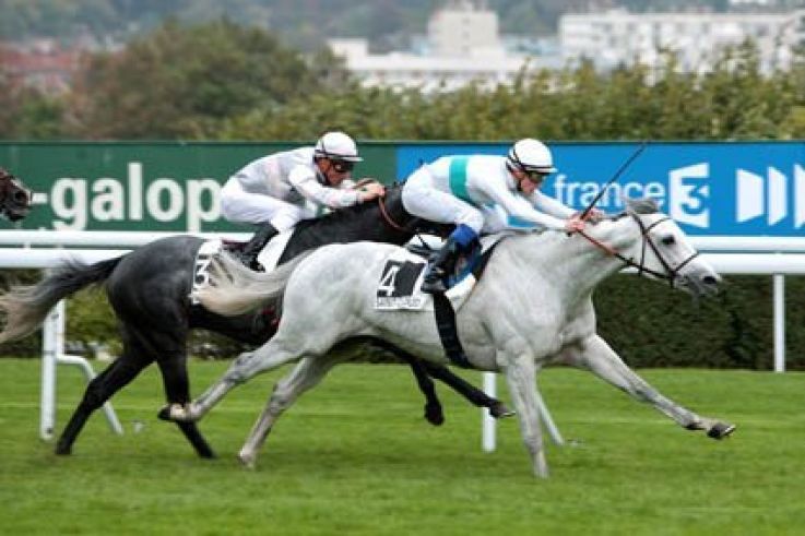 Les dimanches au galop
© Scoop Dyga