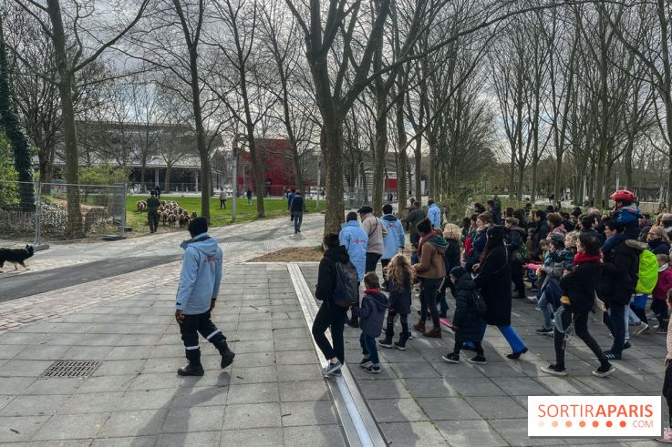 Transhumance à la Villette - F1723DD8 DD0B 4C05 971C 4837A908B3D6