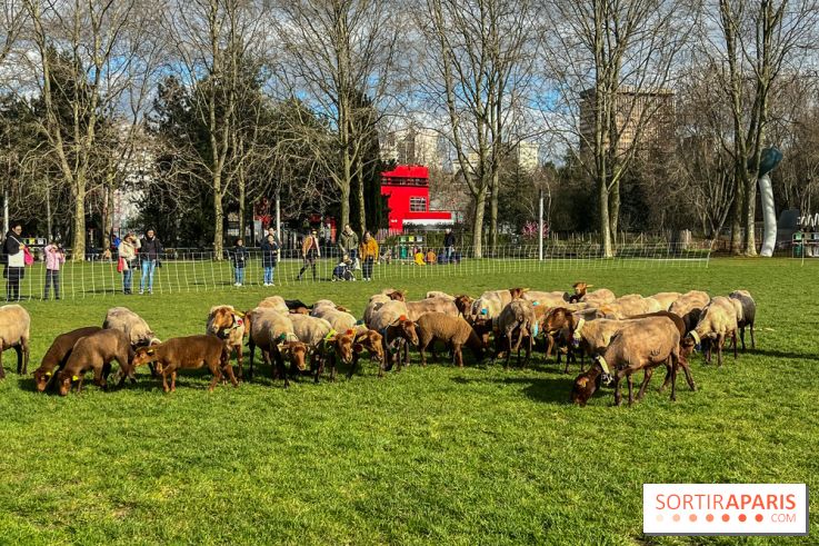 Transhumance à la Villette - 0A0601BF B46E 4CB3 8C5C 8FCED47E3559