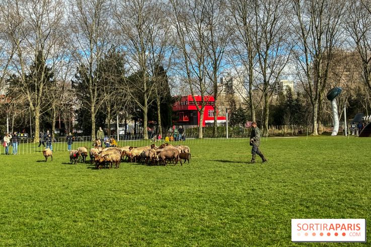 Transhumance à la Villette - 188F770F E171 4E30 91B1 9AEE8A13CE61