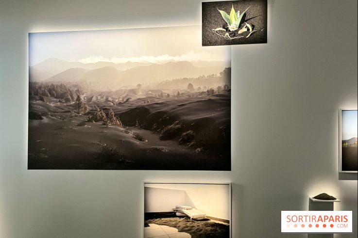 Circulation(s), le festival de la jeune photographie européenne au Centquatre - EEE2D674 7373 43B1 94CC 9B8160130950