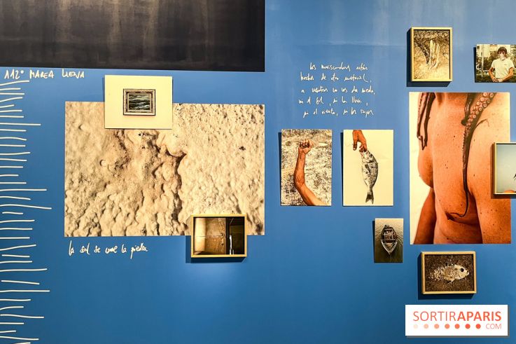 Circulation(s), le festival de la jeune photographie européenne au Centquatre - B9AD0948 22E6 4FBF B48F 025A6EA6BE21