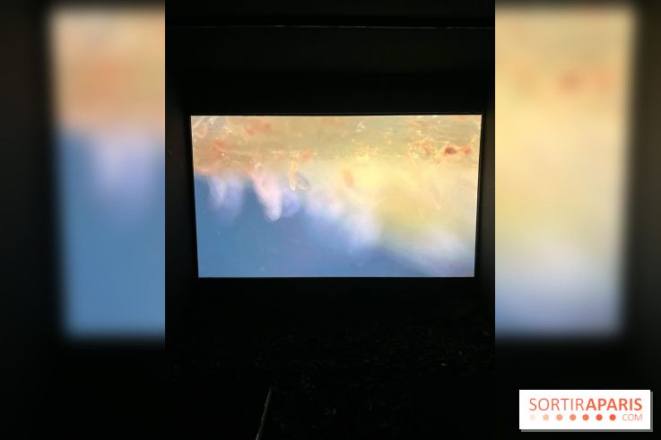 Circulation(s), le festival de la jeune photographie européenne au Centquatre - 09D6C032 A55C 45E6 82D7 5F63895997F8