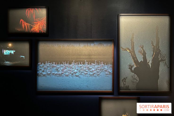 Circulation(s), le festival de la jeune photographie européenne au Centquatre - 99E98AD9 F5DE 4F1B AA07 F1FE6094D9DD