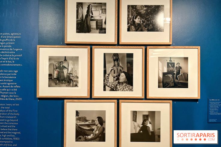 Surréalisme au féminin, l'exposition libératrice au Musée de Montmartre  - IMG 1365