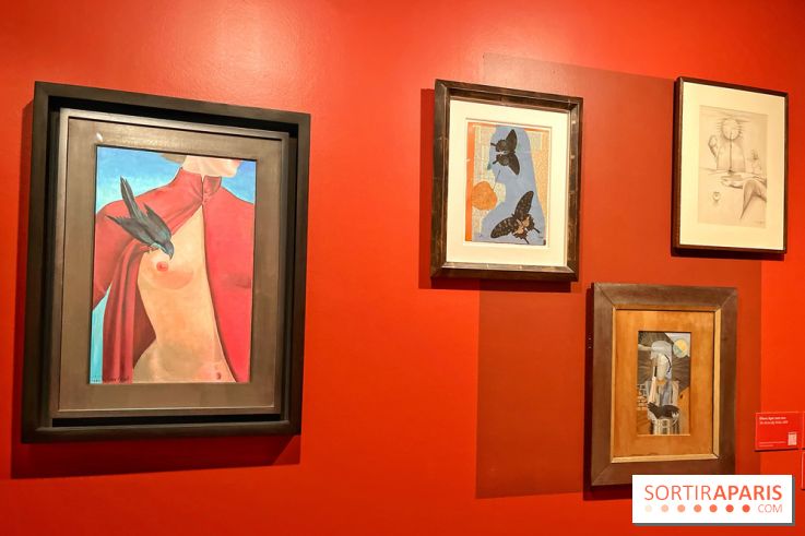 Surréalisme au féminin, l'exposition libératrice au Musée de Montmartre  - IMG 1395