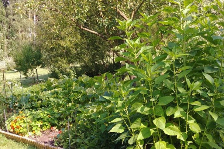 Le centre relaxant H2E et Gîte des Prés de Garnes - 20180718 174343